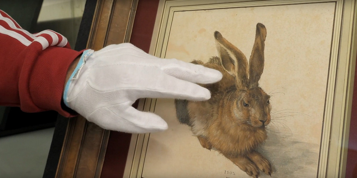 Screenshot from the video "Warum hat der Dürer-Hase so lange Ohren?" | © The Albertina Museum, Vienna